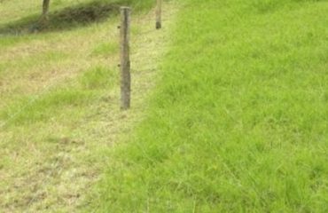 ganaderia ecologica