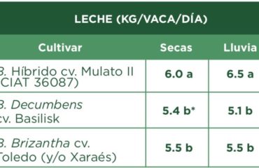 comparativo de produccion de leche y carne de varios tipos de pasto