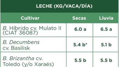 comparativo de produccion de leche y carne de varios tipos de pasto